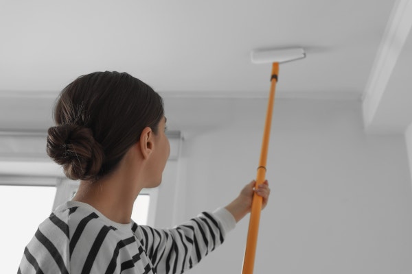 painted ceilings